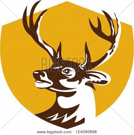 Illustration of a whitetail deer buck stag head looking to the side set inside shield crest done in retro style.