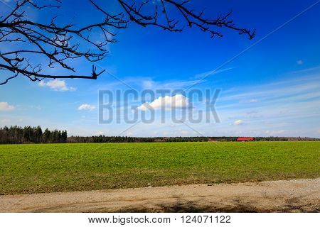 Deep blue sky over field with buildings in the far and twigs in the foreground