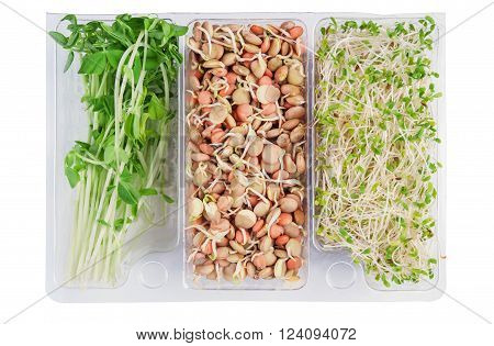 gourmet pack of alfalfa,snow peas and lentils isolated on white