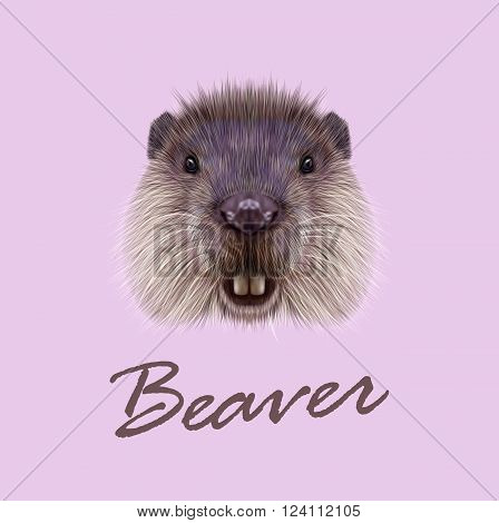 Cute face of aquatic fluffy rodent on pink background.