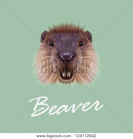 Cute face of aquatic fluffy rodent on green background.