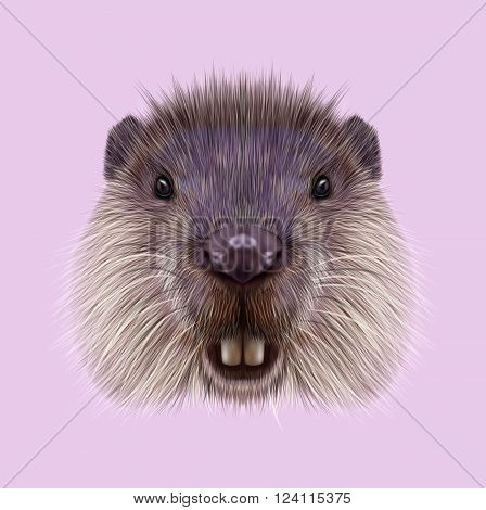Cute face of aquatic fluffy rodent on pink background.