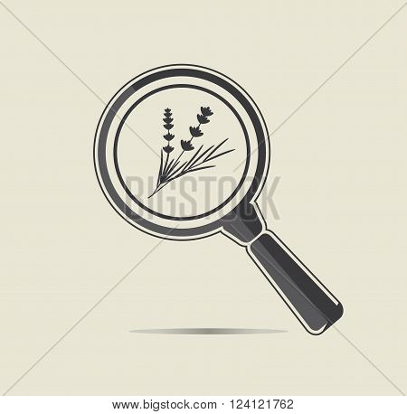 Lavender under a magnifiyng glass. Botanical research conceptual icon.