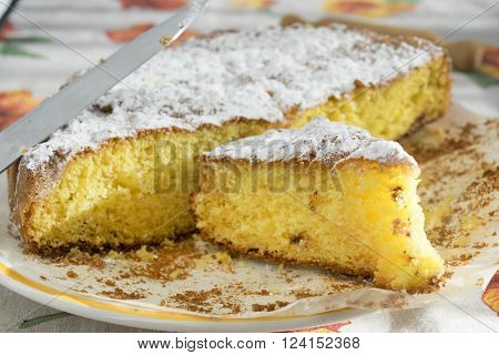 slice of homemade sponge cake with icing sugare