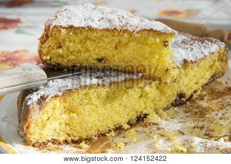 slice of homemade sponge cake with icing sugar