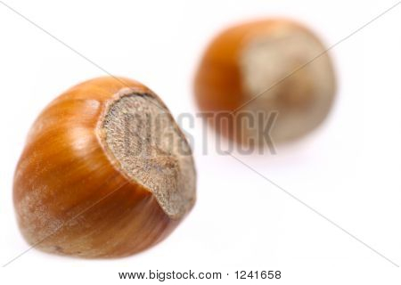 Little Haselnüsse