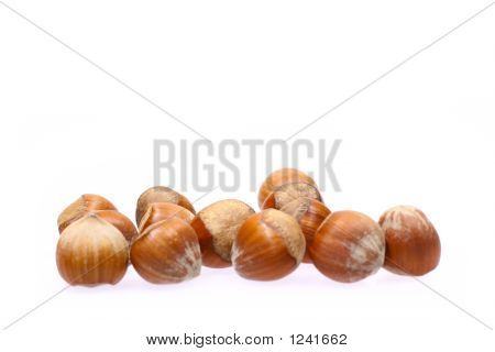 Little Haselnüsse