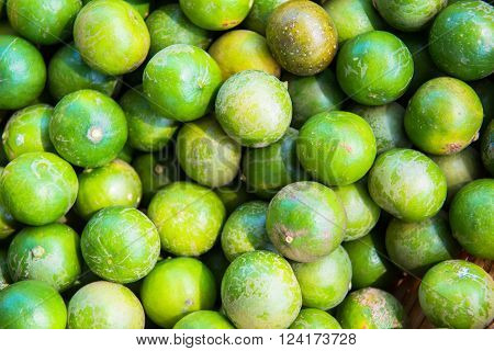 Fresh lime fruit from the bed of garden