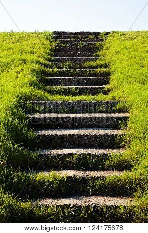 Stone Stairs In Grass