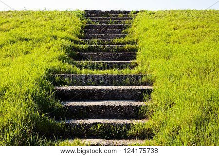 Stone Stairs In Grass