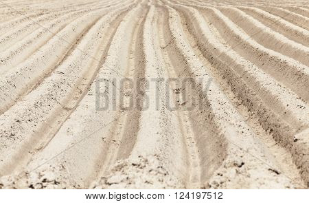 agricultural field, which was plowed for sowing crops. Spring