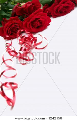 Rosas vermelhas