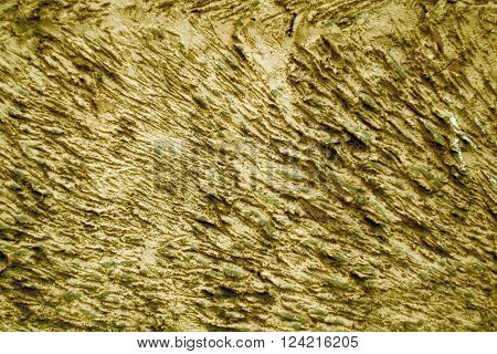 Cement texture. Painted concrete wall of the building