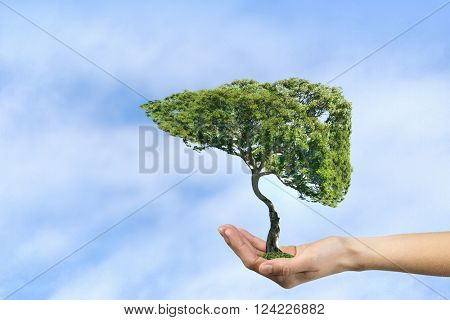 Green eco life 