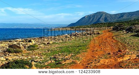 Panorama. Red dirt road on the beach. Cyprus. Akamas