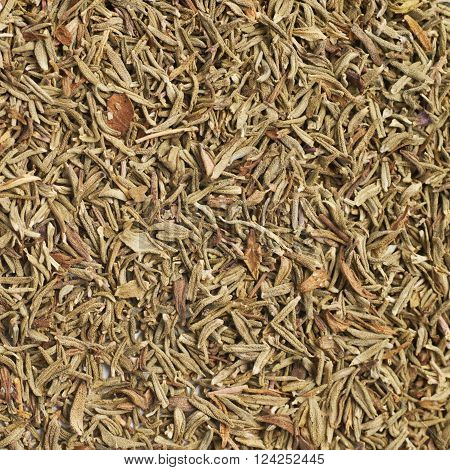 Surface coated with the dried thyme seasoning as a backdrop texture composition