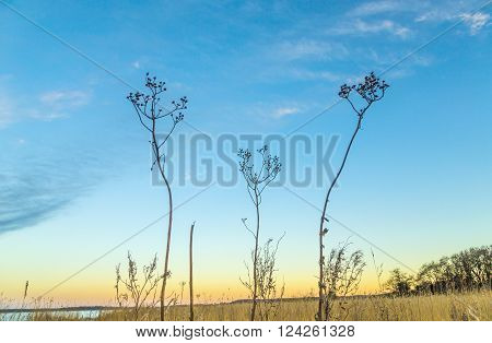Backwater Landscape At The Island Of Usedom