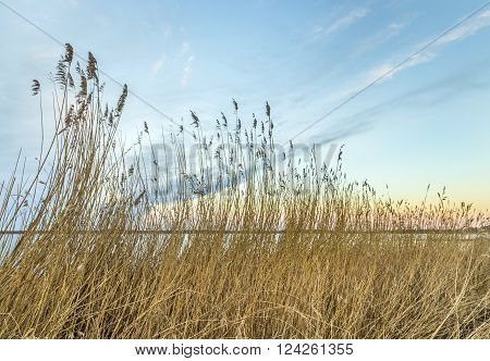 Backwater Landscape At The Island Of Usedom