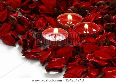 red roses and candles on whiter background with space for your text