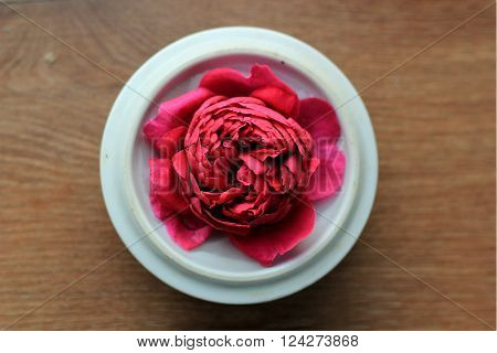Red rose in a tea lid on the wooden background
** Note: Shallow depth of field