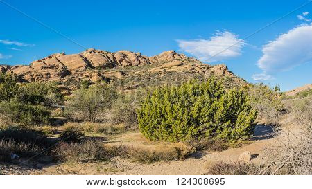 Outdoor nature in the wilderness of Vasquez Rocks State Park near Agua Dulce California.
