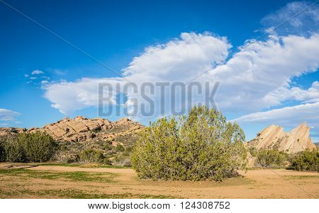Mojave desert natural wilderness at Vasquez Canyon State Park.