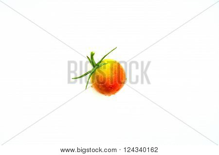 Isolate sweet tomato in my organic garden at Trang Thailand