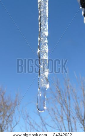 Icicle With the first spring thaw on the cornices appear long icicles.