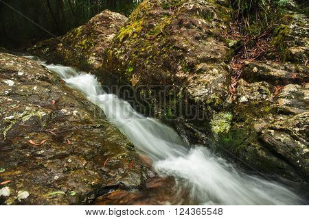 Goomoolahra creek at Springbrook National Park in Queensland.