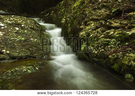 Goomoolahra creek at Springbrook National Park in Queensland.
