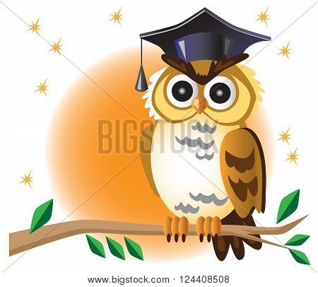 illustration on white background moon and graduation bird owl on a tree branch