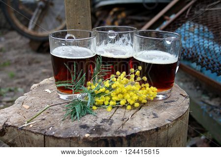 Mimosa and mugs on a tree stump on March 8