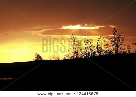 grass against the light at sunset and shining through sun