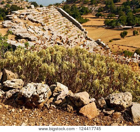 Ruins     From The Hill In Asia Turkey Selge Old Architecture And Nature