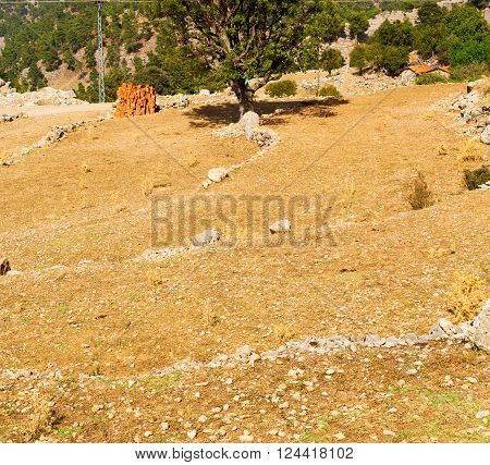 Ruins     From The Hill In Asia Turkey Selge Old Architecture And Nature