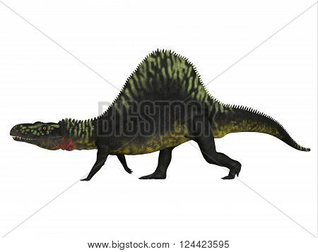 Arizonasaurus Side Profile 3D illustration - Arizonasaurus was a sailback carnivorous archosaur that lived in Arizona North America in the Triassic Period.