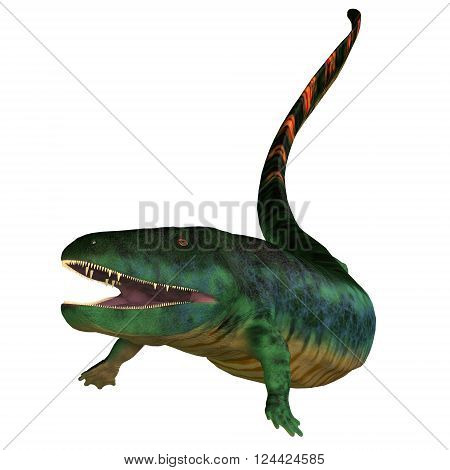 Eogyrinus Tetrapod Head 3D illustration - Eogyrinus was an aquatic predatory tetrapod that lived in the Carboniferous Period of England.