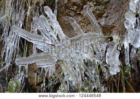 Grass on a hillside frozen by spray from nearby waterfall during winter