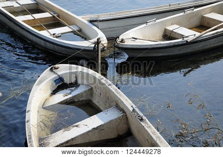 Three weathered swamped boats tied up to a post on water within Chenshan Botanical Garden in Shanghai China.