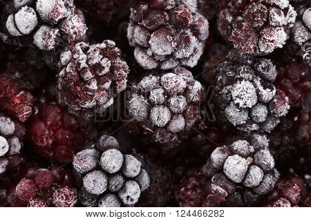 Close up view on frozen Blackberry fruits, food background