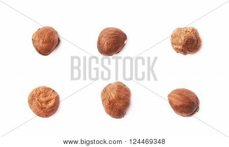 Mulitple single hazelnut nuts isolated over the white background, set of six images