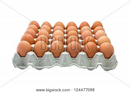 Chicken Egg Trays with isolated on white background.