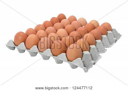Chicken Egg Trays with isolated on white background.