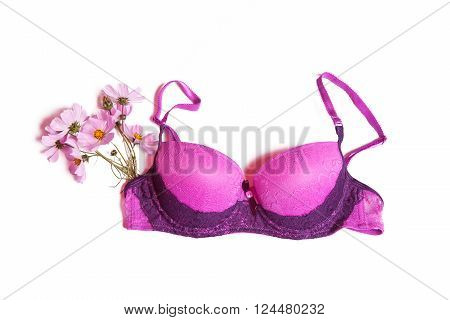 Pink beautiful underwear on a white background
