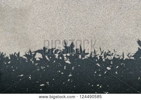 tree shadow on gravel texture as background