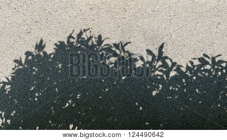 Tree Shadow On Gravel Texture As Background