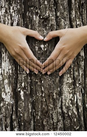 Salvare la nostra foresta