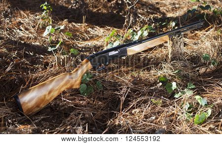 Rimfire rifle that shoots twenty two ammunition on a forest floor