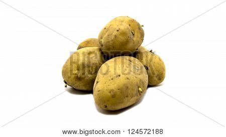 A russet potato on isolated white background