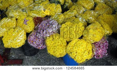 Pak Khlong Talat Flower Market